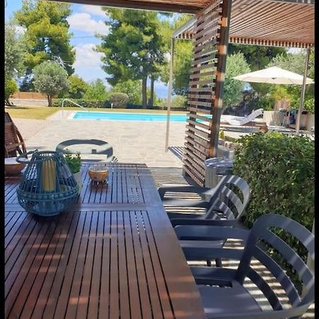 Villa Terrina Άγιοι Απόστολοι Εξωτερικό φωτογραφία