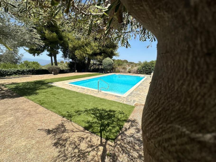 Villa Terrina Άγιοι Απόστολοι Εξωτερικό φωτογραφία